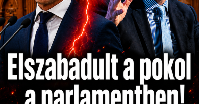 Elszabadult a pokol a parlamentben! Magyar Péter nekiesett a…