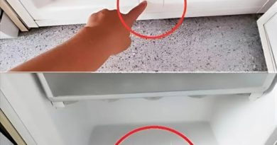 Nem tudtam ennek az összetevőnek a létezéséről a hűtőmben, pedig ő biztosítja annak megfelelő működését!