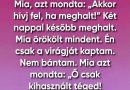 A jade virág titka: egy csendes szerelem, félreértett szándékok és egy meglepetés örökség története