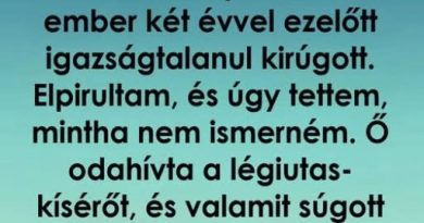 Kirúgott a főnököm, két évvel később egy repülőúton megváltoztatta az életem