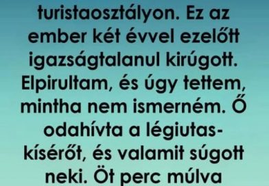 Kirúgott a főnököm, két évvel később egy repülőúton megváltoztatta az életem