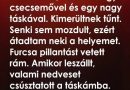 Egy ülőhely a villamoson: egy idegen ajándéka reményről és háláról